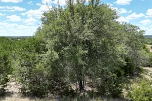 Tbd 183 Hwy, Lometa, TX 76550 - Photo 7