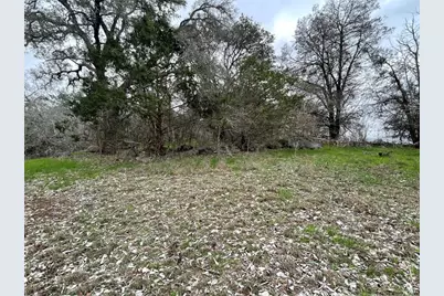 5884 Tenneycreek Road, Luling, TX 78648 - Photo 3