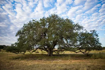 0 Vaquero Vista Trail, Lampasas, TX 76550 - Photo 3