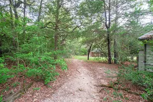 143 Old Piney Trail, Paige, TX 78659 - Photo 17