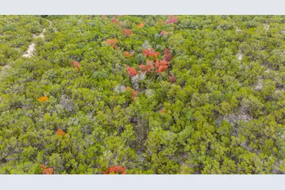 1216 Overland Stage Road, Dripping Springs, TX 78620 - Photo 17