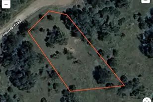 K10146 Horned Toad Rd, Horseshoe Bay, TX 78657 - Photo 9