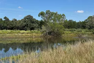 1523 Fm 535, Smithville, TX 78957 - Photo 1