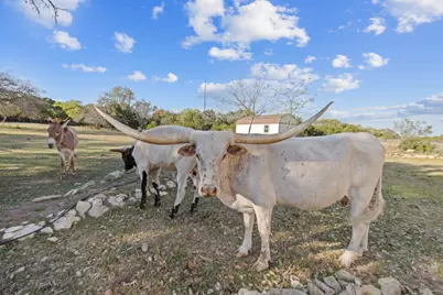 375 Branch Creek Trail, Liberty Hill, TX 78642 - Photo 37