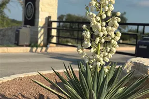 682 Evergreen Cir, Round Mountain, TX 78663 - Photo 13