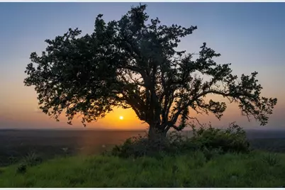 682 Evergreen Circle, Round Mountain, TX 78663 - Photo 13