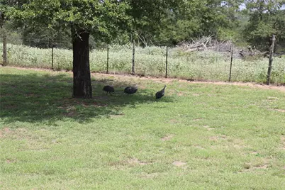 10105 Fm 86, Lockhart, TX 78644 - Photo 7