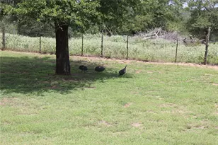 10105 FM86, Lockhart, TX 78644 - Photo 7