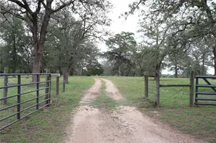 10105 FM86, Lockhart, TX 78644 - Photo 9