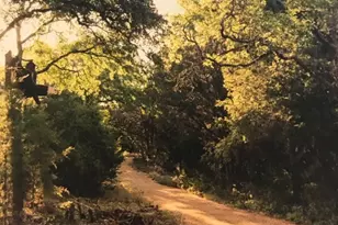 2433 Ambling Trl, Georgetown, TX 78628 - Photo 15