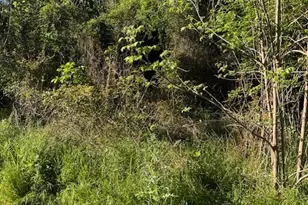 171 Kahana Ln, Bastrop, TX 78602 - Photo 1