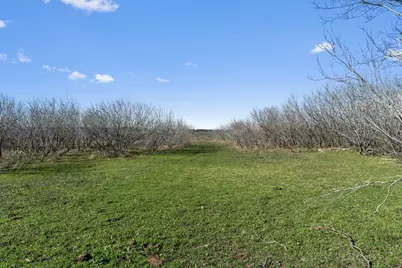 00 Rolling Ridge Road, Lockhart, TX 78644 - Photo 17