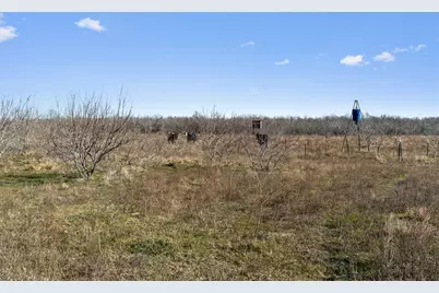 00 Rolling Ridge Road, Lockhart, TX 78644 - Photo 21