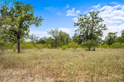 5720 Fm 2237 Road, Flatonia, TX 78941 - Photo 21