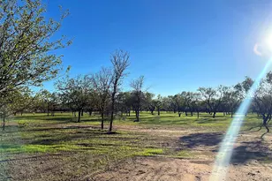 6417 Co Rd 120, Marble Falls, TX 78654 - Photo 3