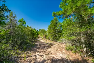 1247 Sand Hills Road, Rosanky, TX 78953 - Photo 13