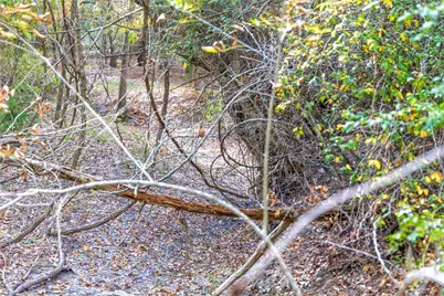 1250 Ladewig Lane, Schulenburg, TX 78956 - Photo 27