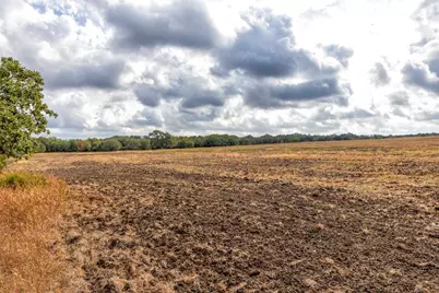 1250 Ladewig Lane, Schulenburg, TX 78956 - Photo 21