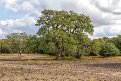 1250 Ladewig Lane, Schulenburg, TX 78956 - Photo 19