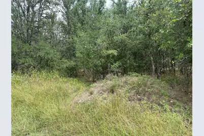 107 Halawa Court, Bastrop, TX 78602 - Photo 3