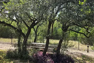 22408 Chipotle Pass, Spicewood, TX 78669 - Photo 25