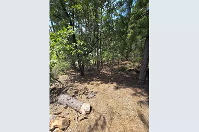 Lot 136 Akaloa Drive, Bastrop, TX 78602 - Photo 3