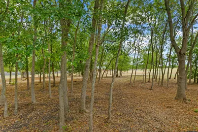 1020 Portchester Castle Path, Pflugerville, TX 78660 - Photo 29