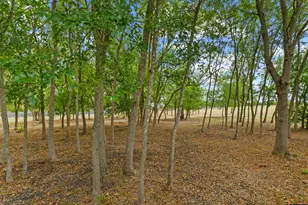 1020 Portchester Castle Path, Pflugerville, TX 78660 - Photo 29