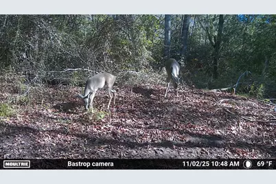 0000 Fm 2239, Paige, TX 78659 - Photo 17