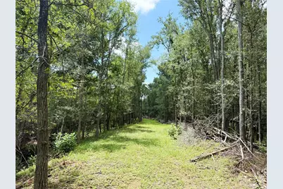 0000 Fm 2239, Paige, TX 78659 - Photo 7