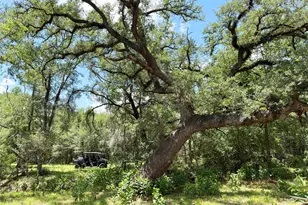 0000 Fm 2239, Paige, TX 78659 - Photo 1
