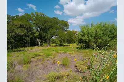 101 Scotty Lane, Liberty Hill, TX 78642 - Photo 3