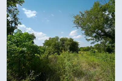 101 Scotty Lane, Liberty Hill, TX 78642 - Photo 9