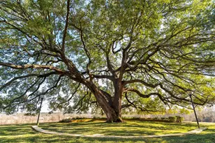 6731 E Fm 1123, Belton, TX 76513 - Photo 13