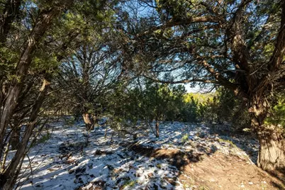 159 Sitting Bull Trail, Canyon Lake, TX 78133 - Photo 5