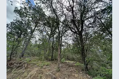 173 Kaaawa Lane, Bastrop, TX 78602 - Photo 3