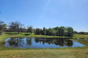 217 Killian Loop, Hutto, TX 78634 - Photo 37