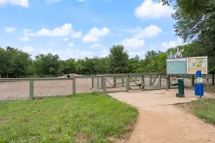 9909 Dalliance Ln, Manor, TX 78653 - Photo 39