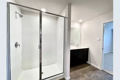 264 Texas Palmetto Circle, Kyle, TX 78640 - Photo 17