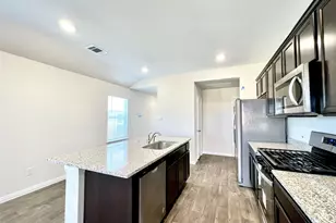 264 Texas Palmetto Cir, Kyle, TX 78640 - Photo 9