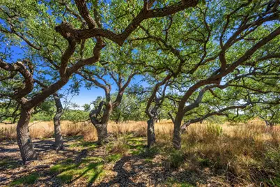 1495 Walnut Springs Road, Johnson City, TX 78636 - Photo 21