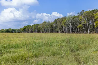 9999 Fm 834, Hardin, TX 77564 - Photo 3