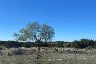 00000 River Shoals Dr, Kempner, TX 76539 - Photo 13