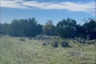 00000 River Shoals Dr, Kempner, TX 76539 - Photo 23