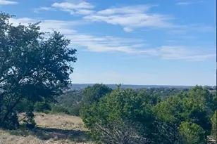 00000 River Shoals Dr, Kempner, TX 76539 - Photo 17