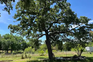 135 Belton St, McDade, TX 78650 - Photo 5