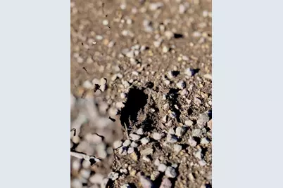 Tbd Tract  91 Citadel Drive, Center Point, TX 78010 - Photo 13