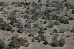 Tract 14 Miller Creek Ranch, Briggs, TX 78608 - Photo 15