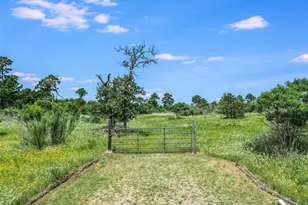 476 McAllister Rd, Bastrop, TX 78602 - Photo 1