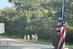 322-342 Whispering Woods Dr, Rockport, TX 78382 - Photo 39